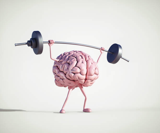Human brain lifting weight . stock photo