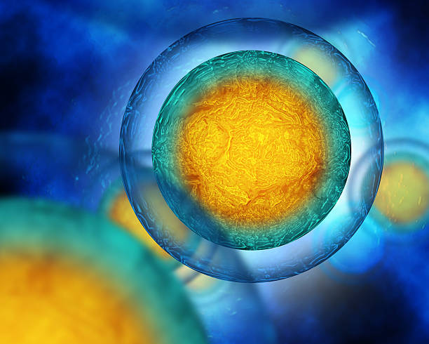 human cells - cel stockfoto's en -beelden