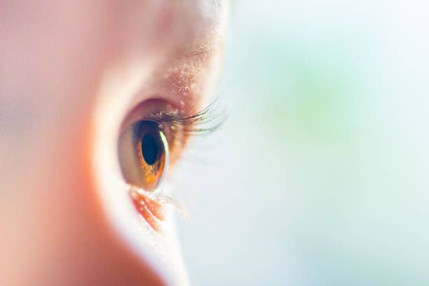 menselijke donkerbruine ogen close-up.  zijzijdeblik - future kids stockfoto's en -beelden