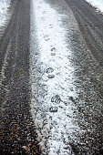istock Human footprints in the snow 1366903283