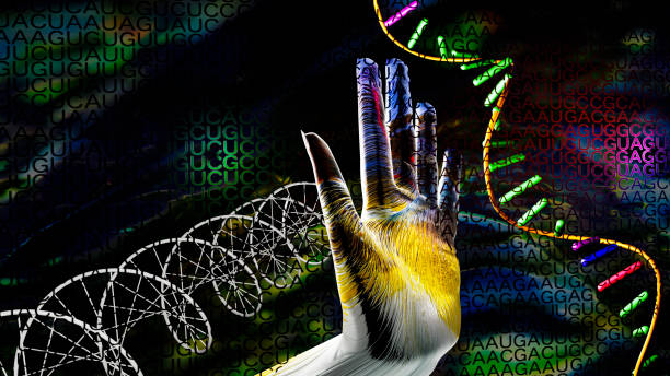DNA, RNA, human genome code, and binary code to authenticate human hands. stock photo
