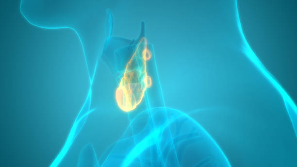 882 Thyroid Cancer Stock Photos, Pictures & Royalty-Free Images - iStock