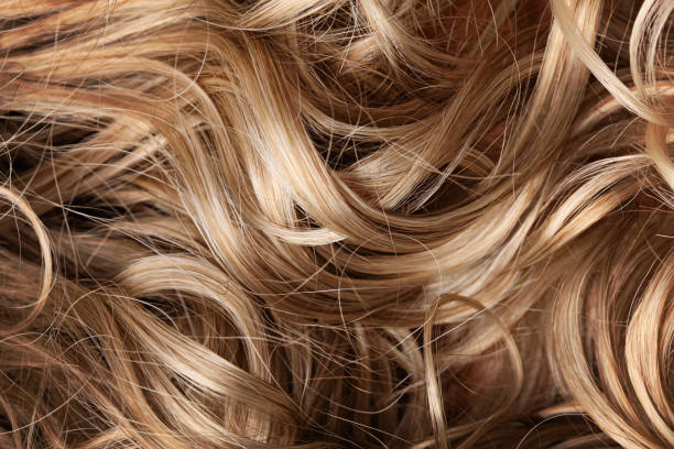 human hair stock photo