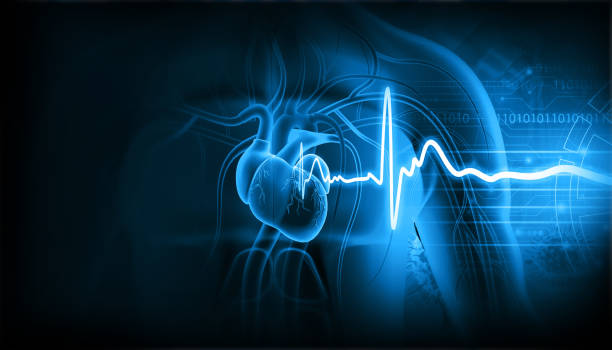 Human heart with ecg graph stock photo