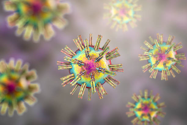 Human Herpes simplex virus stock photo