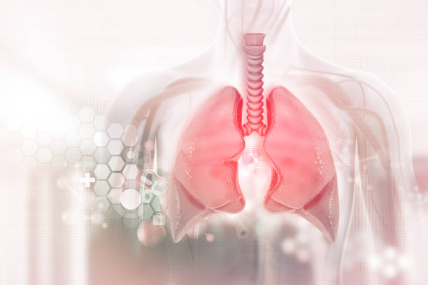 menselijke longen op wetenschappelijke achtergrond.3d illustratie - longen stockfoto's en -beelden