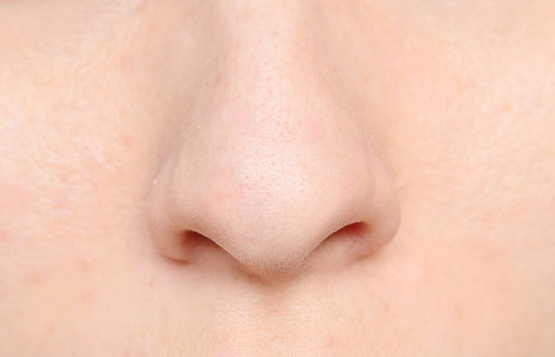 Human Nose Stock Photos Pictures Royalty Free Images Istock