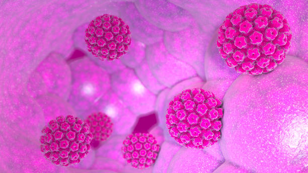 Humán papillomavírus (HPV) - Hpv az emberi papilloma vírus