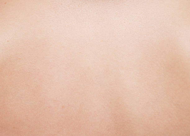 human skin texture close up of human skin human skin close up stock pictures, royalty-free photos & images