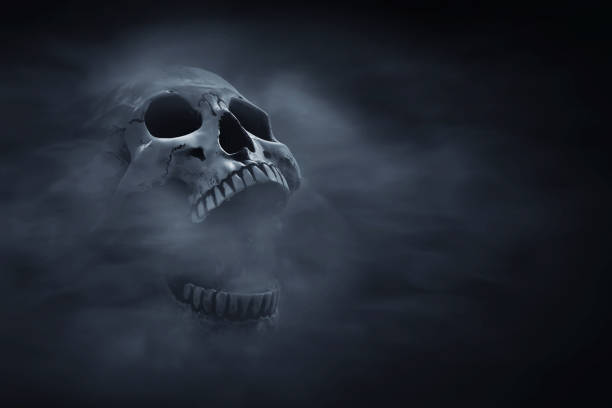 Human skull on dark background  Smoking Kills stock pictures, royalty-free photos & images
