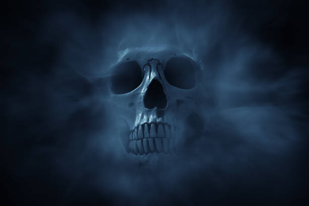 Human skull on dark background  Smoking Kills stock pictures, royalty-free photos & images