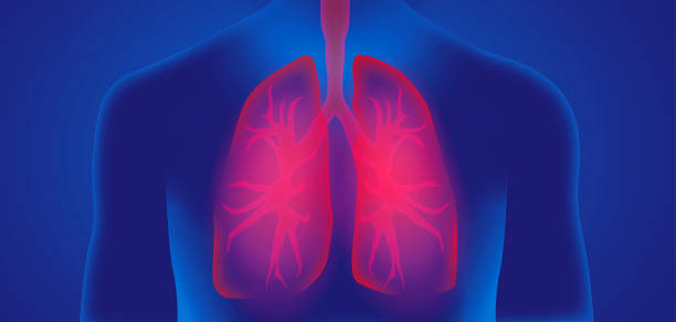 humana lunginfluensavirus illustration grafisk bakgrund - luftvägsinfektion bildbanksfoton och bilder