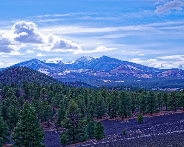 Humphreys Peak Humphreys Peak in the Kachina Peaks Wilderness in the Coconino National Forest flagstaff arizona stock pictures, royalty-free photos & images