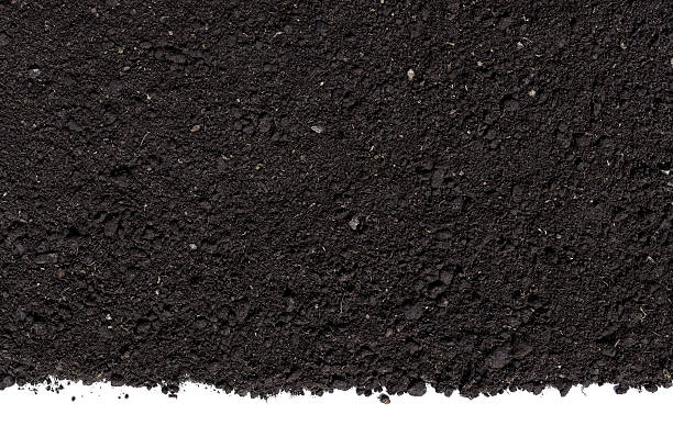 Humus Soil Background Soil on the white background. soil stock pictures, royalty-free photos & images