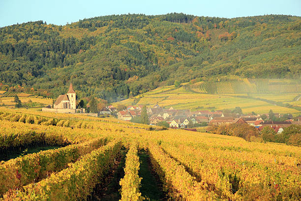 Hunawihr in the vineyard of Alsace stock photo