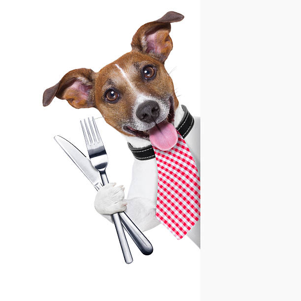 hungry dog hungry dog with cutlery waiting for the meal healthy tongue picture stock pictures, royalty-free photos & images