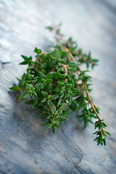 A hunk of thyme on a marble surface stock photo