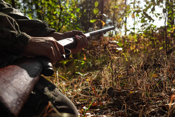 A hunter with a gun in his hands in hunting clothes in the autumn forest close-up. The hunting period, the fall season is open, the search for prey. stock photo