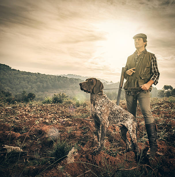Hunter with dog Hunter with German Shorthaired pointer in abandoned field during the morning hunting sport stock pictures, royalty-free photos & images