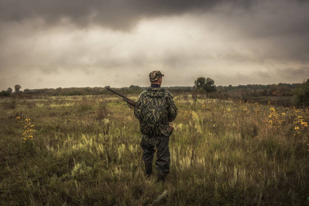Hunter with hunting ammunition gun going through rural field during hunting season in overcast day stock photo