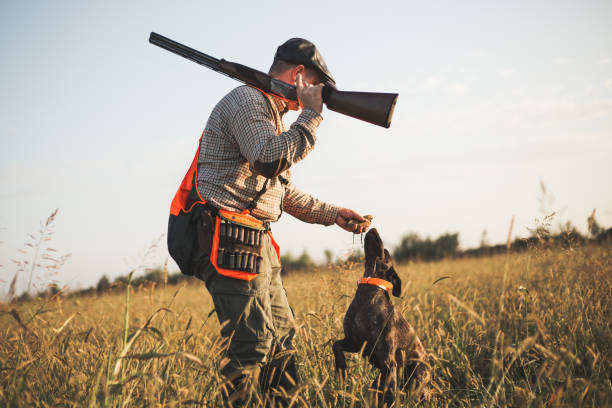 Hunter with hunting dog during a hunt Hunter with hunting dog during a hunt hunting sport stock pictures, royalty-free photos & images