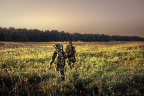 Hunters hunting equipment going away through rural field towards forest at sunset during hunting season in countryside stock photo