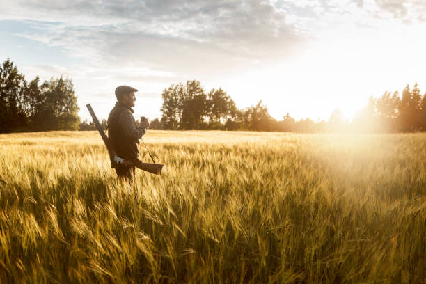 Hunting at golden hour Gentleman style hunting. Shot in Norther Europe. hunting sport stock pictures, royalty-free photos & images