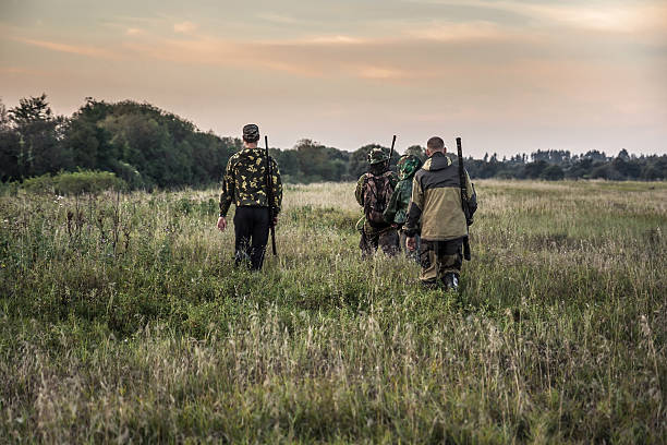 Hunting scene with hunters going through rural field during hunting stock photo