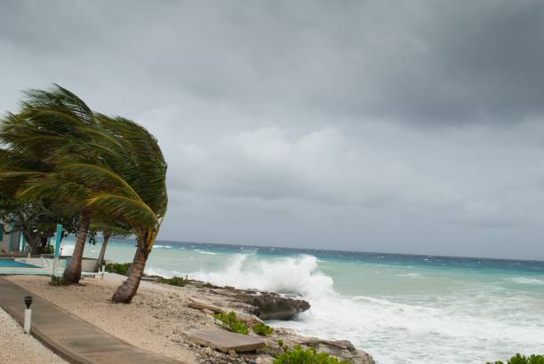 허리케인 도리안이 미국 남동부 해안을 강타했습니다. - 준비 뉴스 사진 이미지