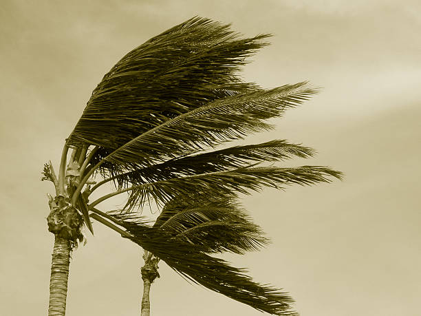 hurricane roof damage insurance claim