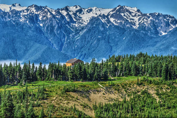 Hurricane Ridge Olympic National Park View of snowy peaks from Hurricane Ridge, Olympic National Park. olympic national park stock pictures, royalty-free photos & images