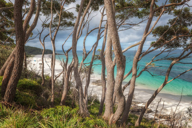Hyams Beach, New South Wales, Australia stock photo