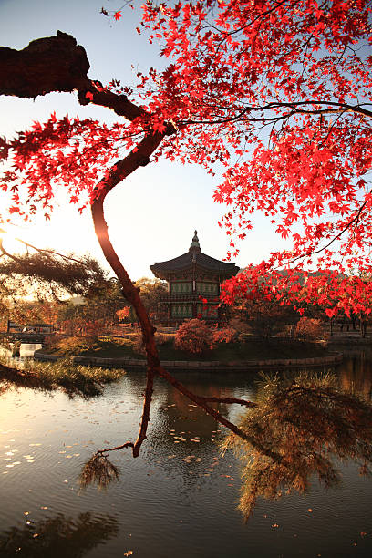 Hyangwonjeong pavilion in autumn stock photo