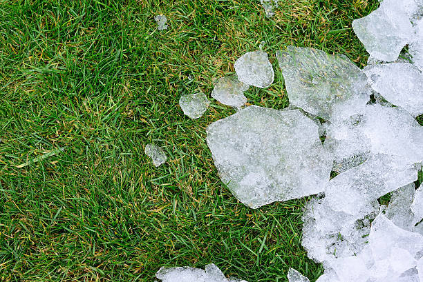 ice and snow on green spring grass stock photo