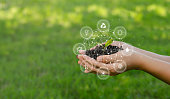 istock ESG icon concept circulating in hands for environment, society and governance. Esg. in sustainable business on networked connections on green background. 1342186570