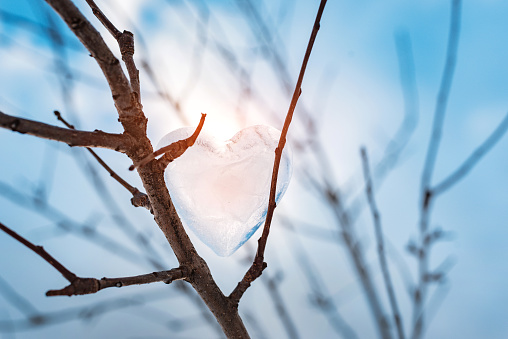 icy heart branches against background spring sky rays. concept love, romance, February 14, Valentine's Day. winter holidays. frozen heart. spring time