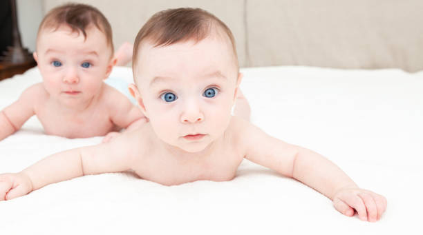 Identical twin baby boys in diapers looking at camera on white stock photo