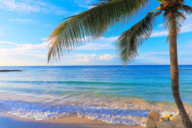 ゴールド色の夕暮れ - モンテゴ ベイ - ジャマイカ、カリブ海の牧歌的なビーチ - モンテゴ湾 写真 ストックフォトと画像