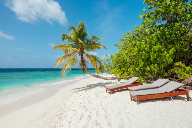 Idyllic beach scene in Maldives stock photo