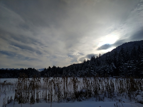 reed of frozen lake and distant mountains in winter