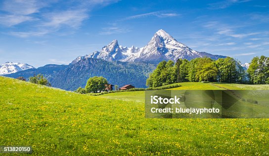 istock Idyllic landscape in the Alps with green meadows and flowers 513820150