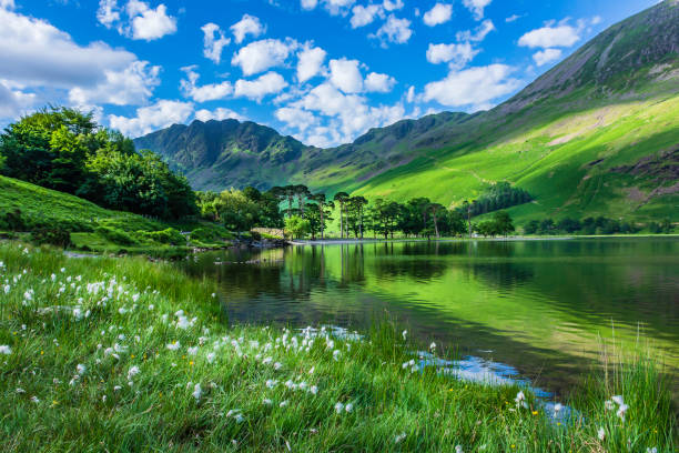 Idyllic scenery of English Lake District in springtime. Idyllic scenery of English Lake District in springtime.Trees and grass growing on lakeshore and green hill reflecting in lake water. Sunlight kissing mountain slope in background.Majestic landscape scene. english lake district stock pictures, royalty-free photos & images