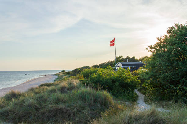 idyllic view close to beach at the baltic sea - denmark imagens e fotografias de stock