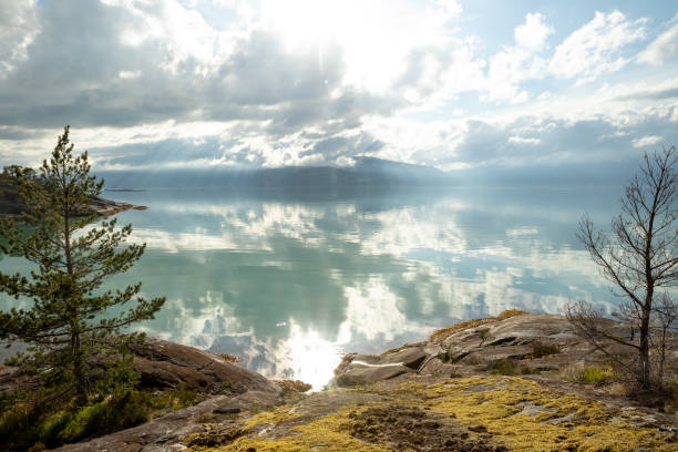 Idyllisch stukje natuur in Noorwegen aan een heldere fjord stock photo