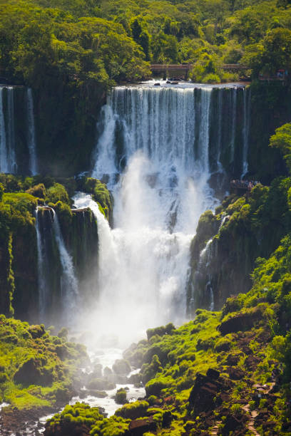 Iguazu Falls stock photo