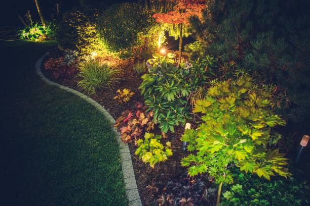 Illuminated Backyard Garden Illuminated Backyard Garden. Night Time Photo. Outdoor Garden Lighting. illuminated stock pictures, royalty-free photos & images