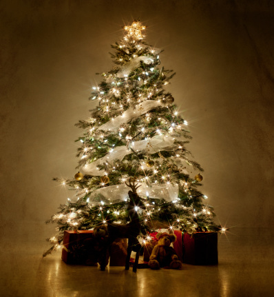 照明付きのクリスマスツリーの夜 お祝いのストックフォトや画像を多数ご用意 Istock
