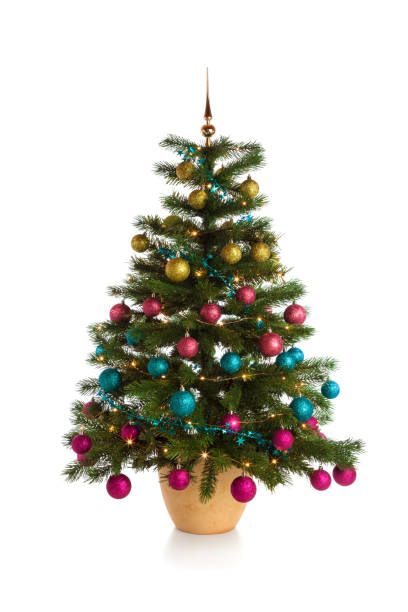 Illuminated Christmas tree isolated on white Illuminated christmas tree with golden, pink, blue and purple baubles isolated on white background flower pot photos stock pictures, royalty-free photos & images