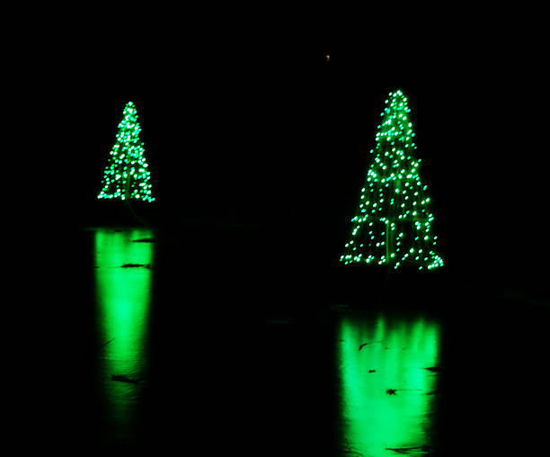 Illuminated Green Christmas Trees stock photo