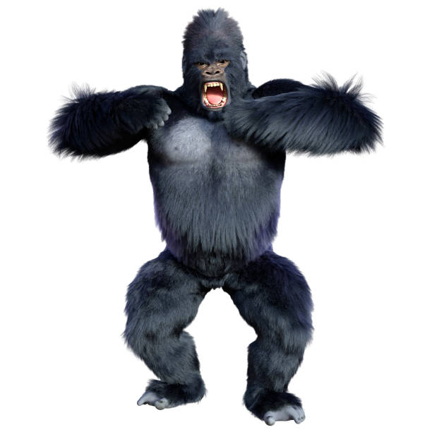 3D illustration black gorilla ape on white stock photo